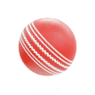 Cricket Ball